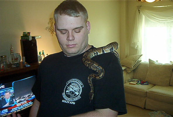 Ball python 3